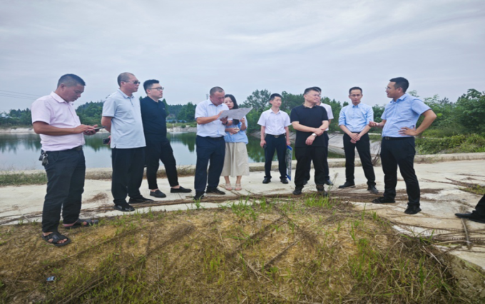 巴中发展控股集团有限公司党委副书记、总经理沈鹏带队到恩阳区明阳镇鹿台村调研淫羊藿育苗基地建设工作