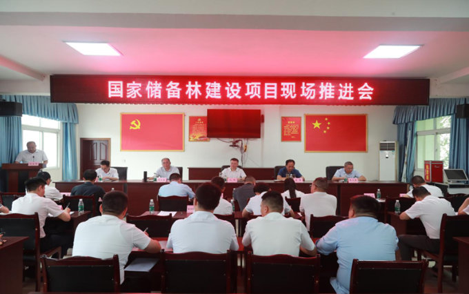 巴中发展集团召开国家储备林建设项目现场推进会