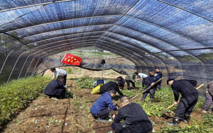 党员劳动助发展 田间地头践初心