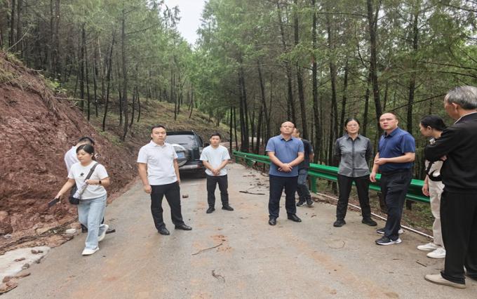副市长余新颜赴通江两山公司全省储备林 项目现场会千佛村现场开展调研指导及巡林工作