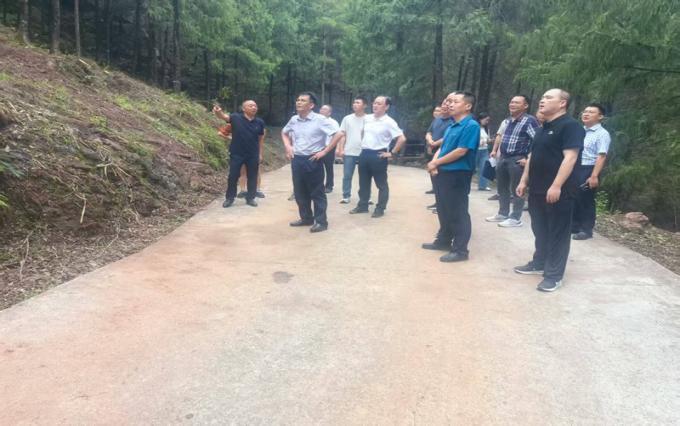 省林业工作总站站长余波一行调研指导通江两山公司承建的全省储备林现场会千佛村点位工作