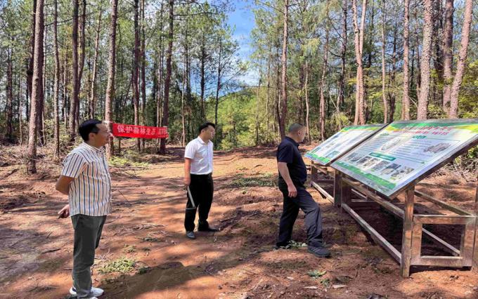 巴中两山公司党总支副书记、总经理童东率队赴巴州区茯苓基地调研