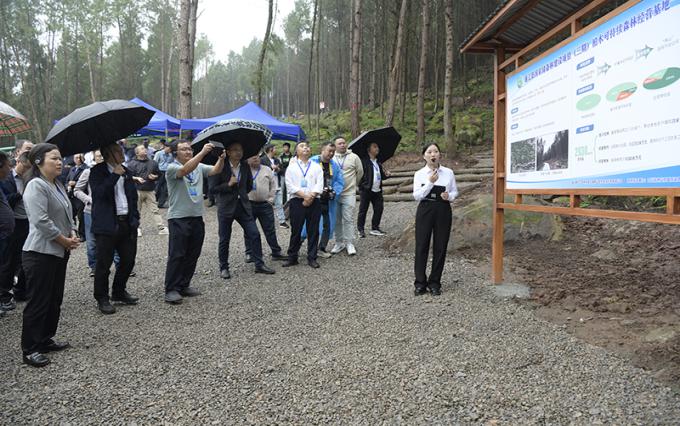 全省国家储备林建设工作现场推进会参观通江县两山公司项目