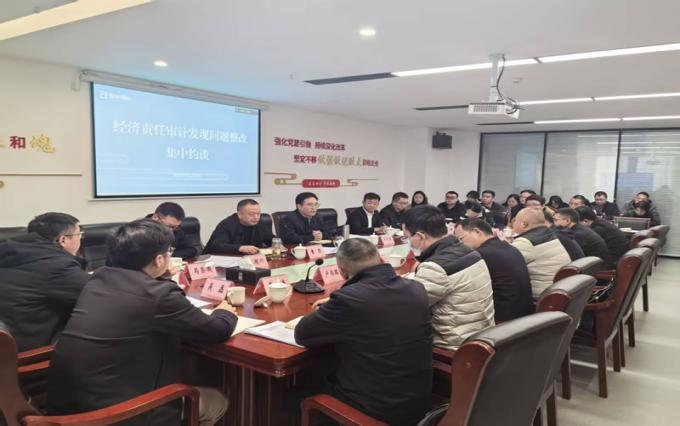 巴中两山公司召开经济责任审计发现问题整改集中约谈会